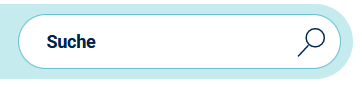 Eingabefeld für Website-Suche Eingabefeld für Website-Suche mit Lupe-Icon