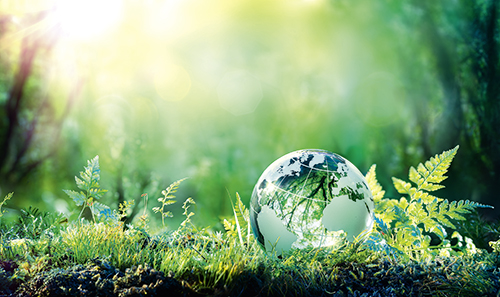 KVB-Teaserbild "Nachhaltigkeit in Praxen" Glaskugel liegt auf Waldboden